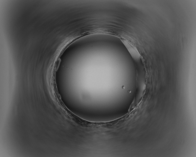 X0000088230289200705151458