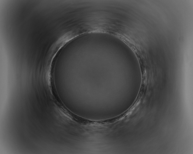 X0000088230290200705151458