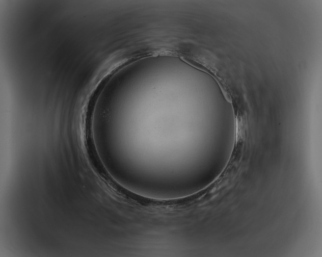 X0000088230291200705151458