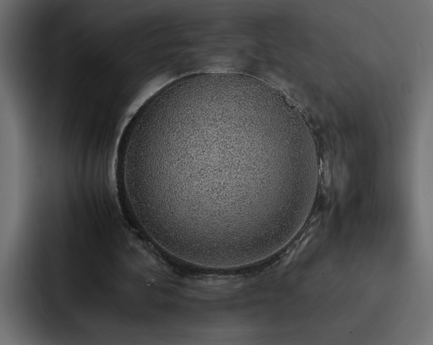 X0000088230292200705151458