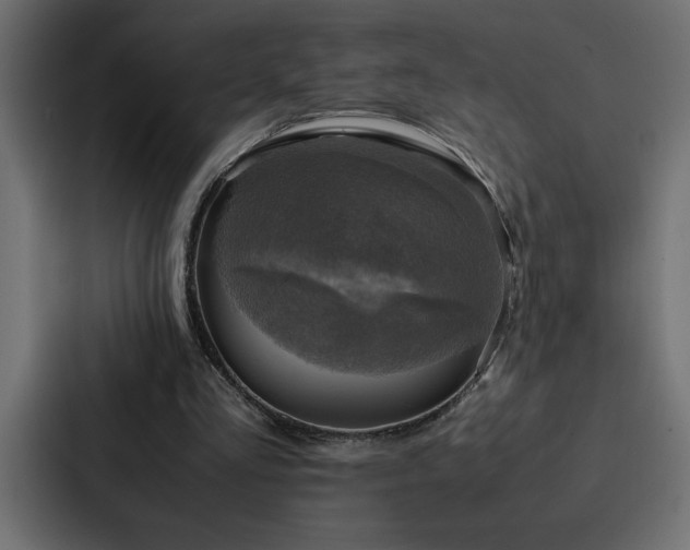 X0000088230293200705151458