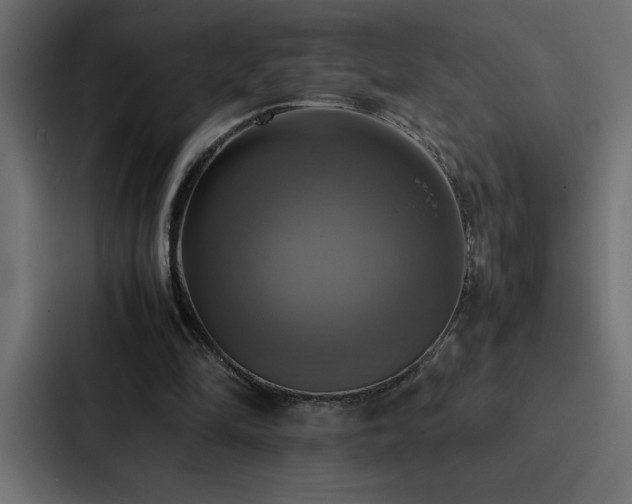 X0000088230294200705151458