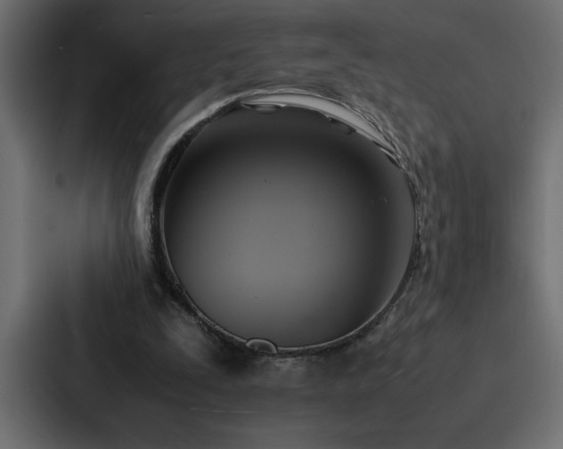 X0000088230295200705151458