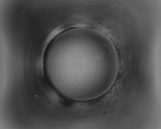 X0000088230296200705151458