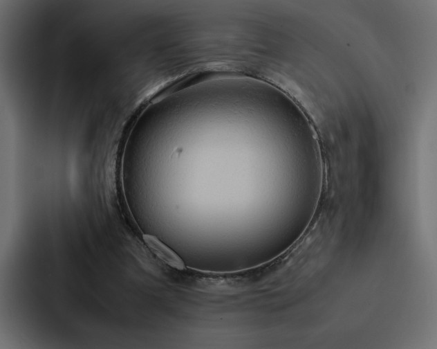 X0000088230297200705151458