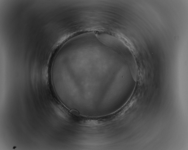 X0000088230298200705151458