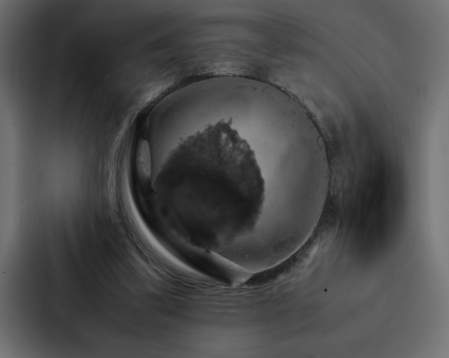 X0000088230299200705151458