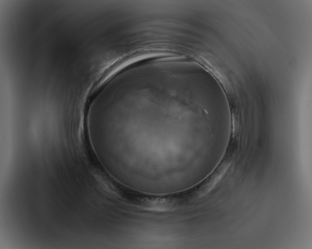 X0000088230301200705151458