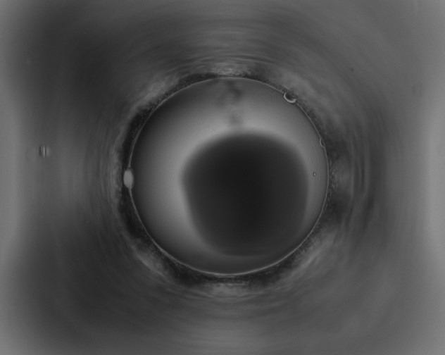 X0000088230303200705151458