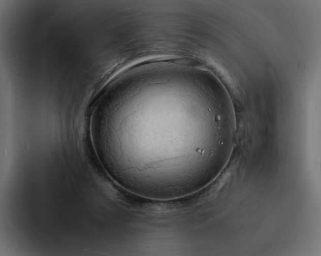 X0000088230305200705151458