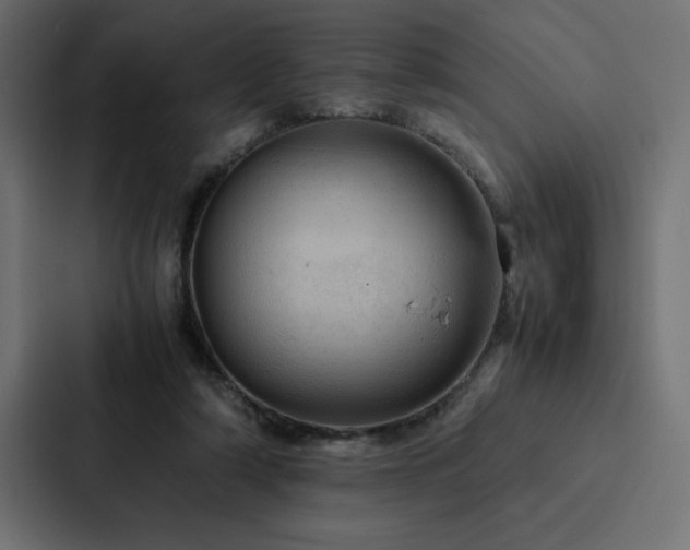 X0000088230306200705151458