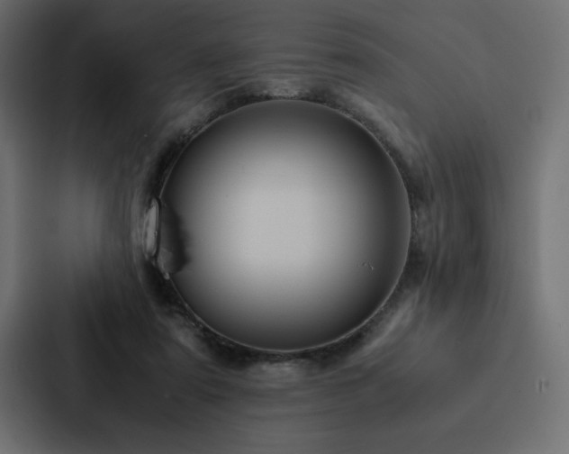 X0000088230307200705151458