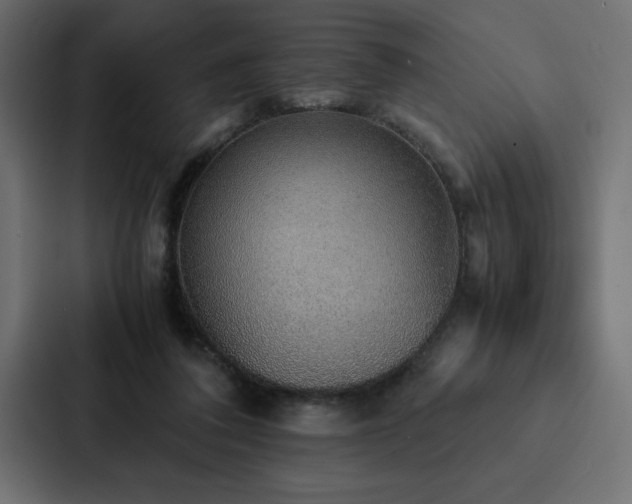 X0000088230308200705151458