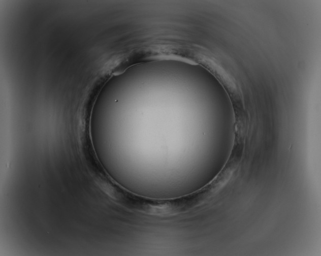 X0000088230309200705151458