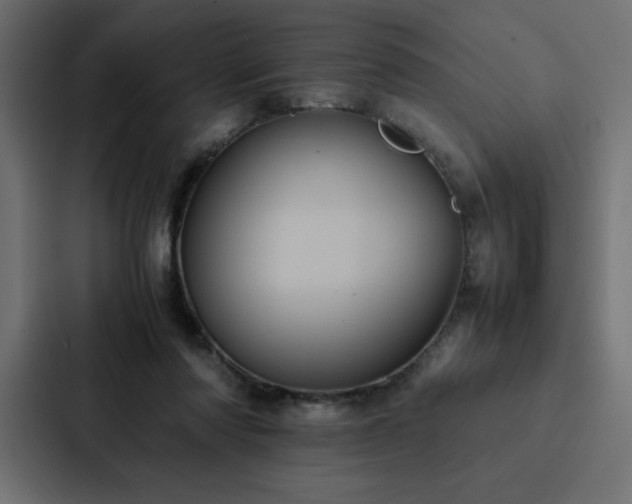 X0000088230310200705151458