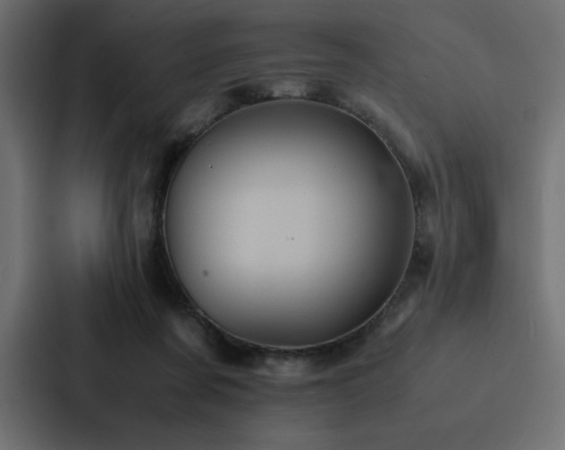 X0000088230311200705151458