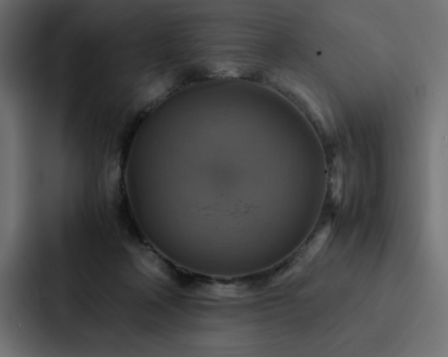 X0000088230314200705151458