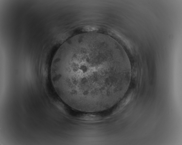 X0000088230315200705151458