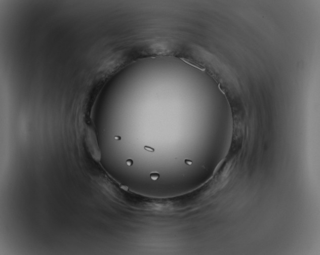 X0000088230317200705151458