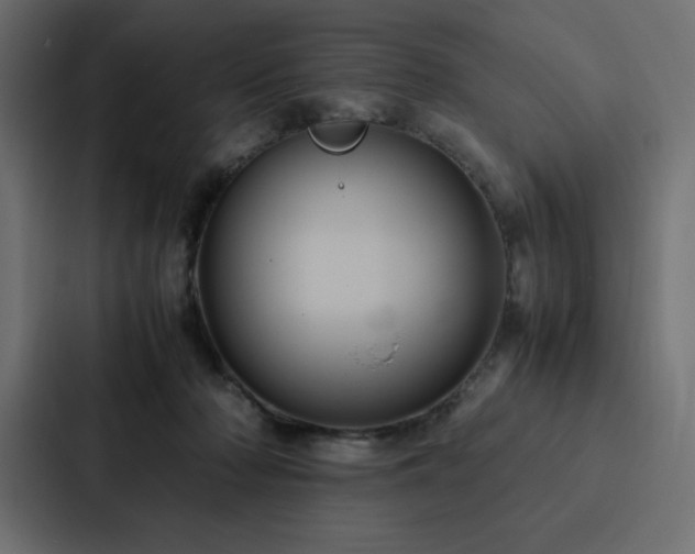 X0000088230318200705151458