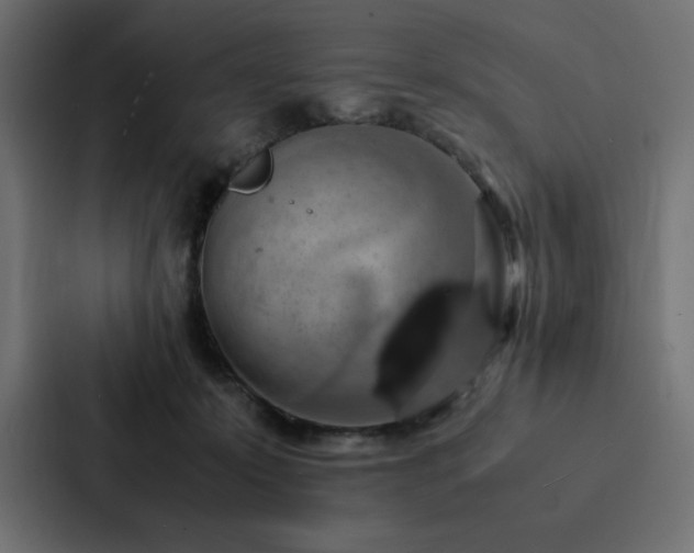 X0000088230319200705151458