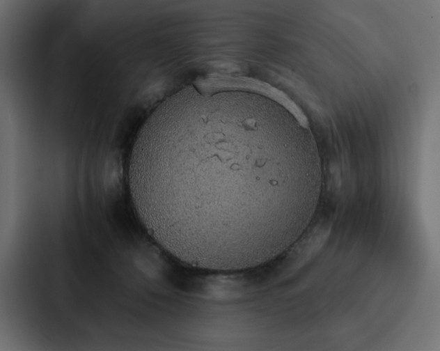 X0000088230320200705151458