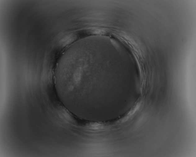 X0000088230325200705151458