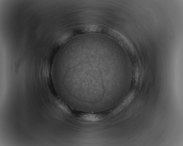 X0000088230326200705151458