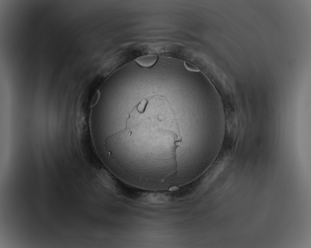 X0000088230327200705151458