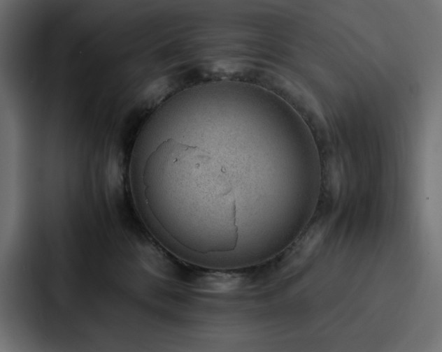 X0000088230328200705151458