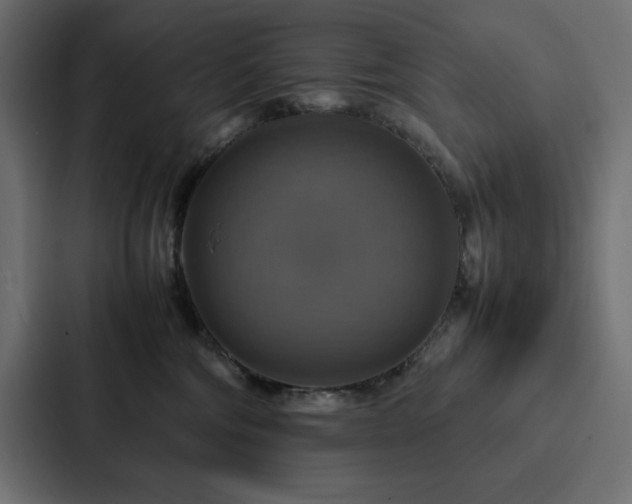 X0000088230330200705151458