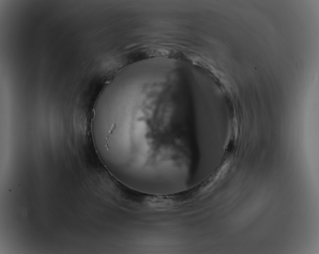 X0000088230331200705151458