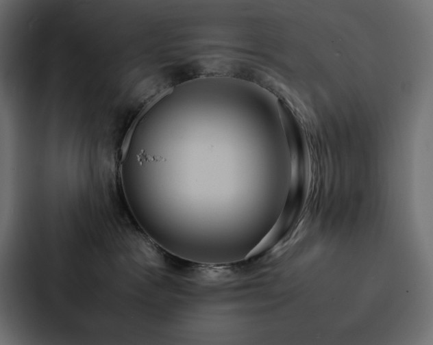X0000088230333200705151458