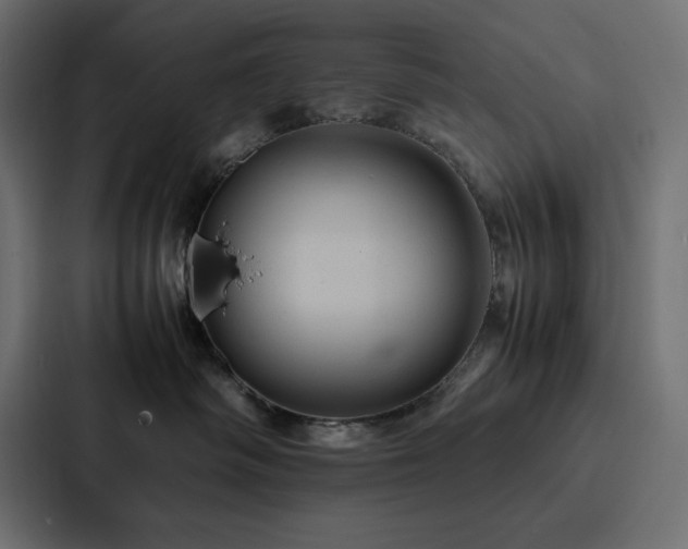X0000088230334200705151458