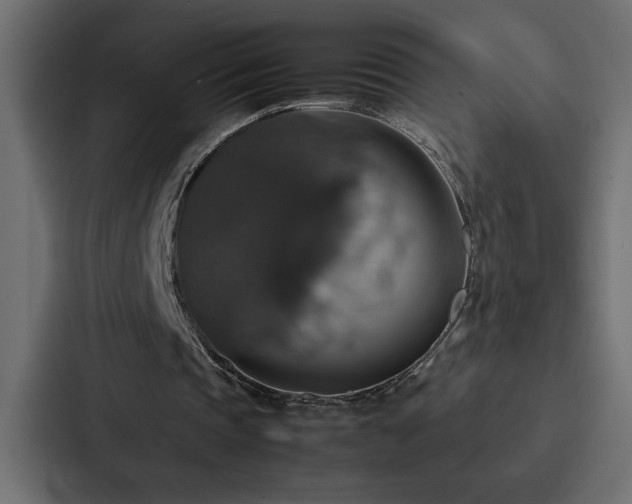 X0000088230337200705151457