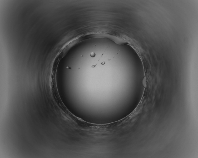 X0000088230338200705151457