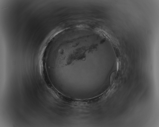 X0000088230339200705151457