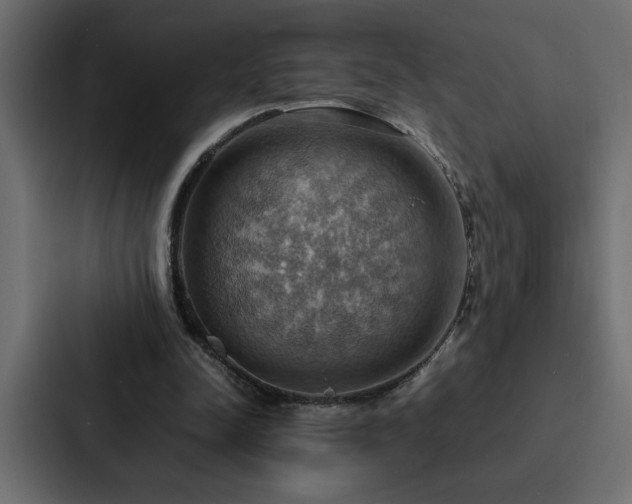 X0000088230342200705151457