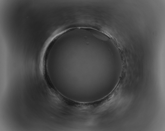 X0000088230343200705151457