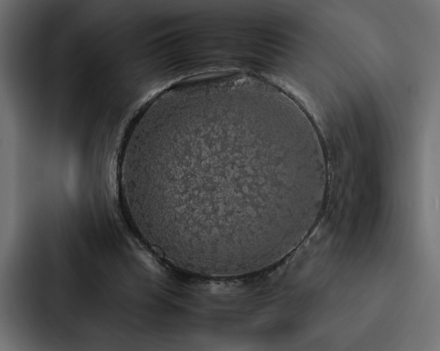 X0000088230345200705151457