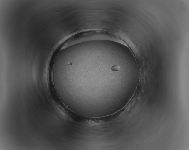 X0000088230346200705151457