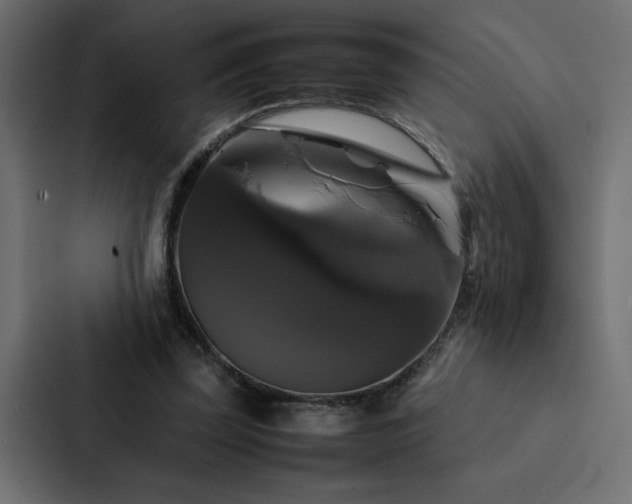 X0000088230347200705151457