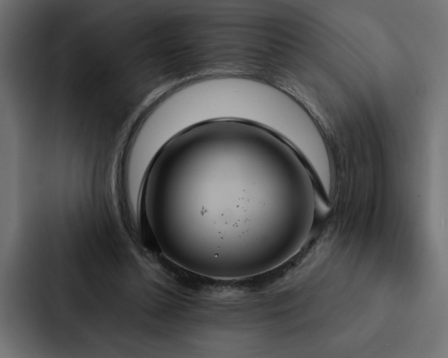 X0000088230348200705151457