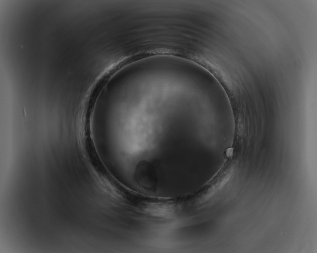 X0000088230351200705151457