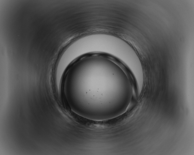 X0000088230352200705151457