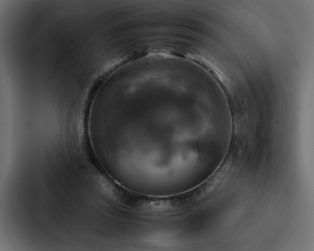 X0000088230353200705151457