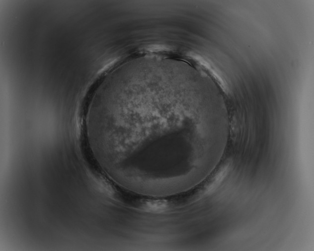 X0000088230355200705151457
