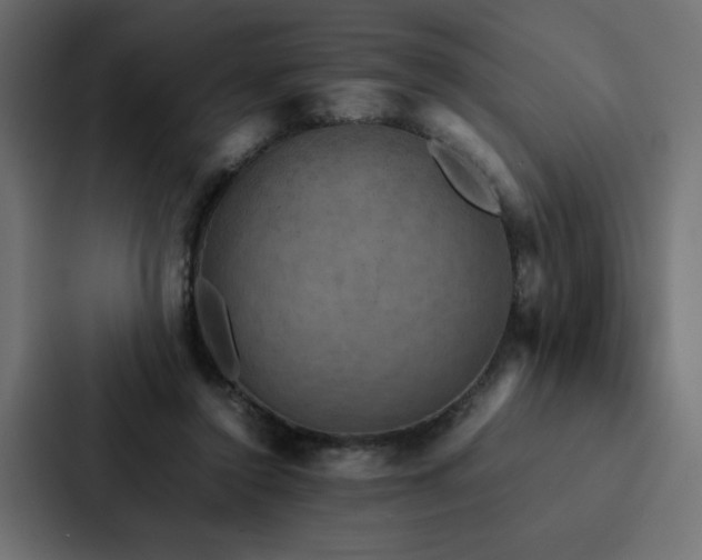 X0000088230356200705151457