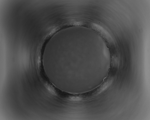 X0000088230358200705151457