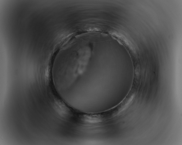 X0000088230359200705151457